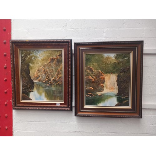 155 - Two framed Terry Evans oil paintings with certificates of authenticity