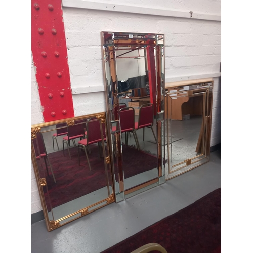 341 - Two gold framed mirrors and one dual coloured mirror