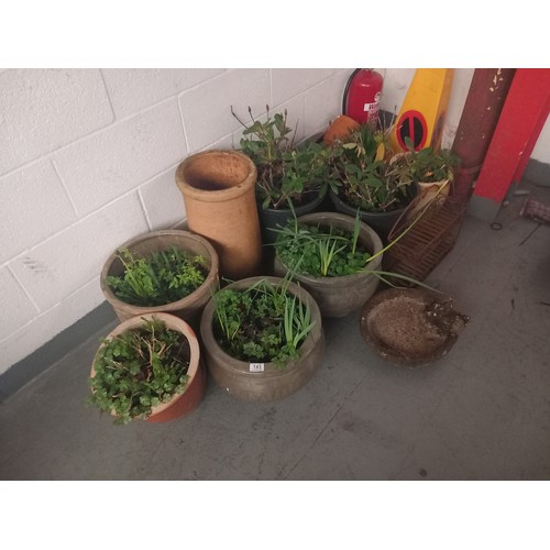 143 - A selection of ceramic plant pots and a terracota chimney