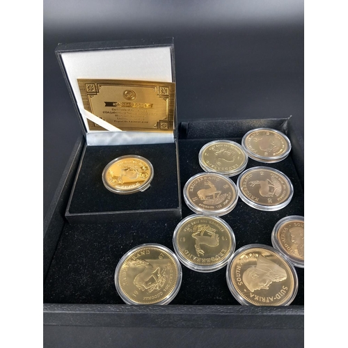 205 - Ten gold plated kruger rands