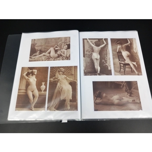 220 - A folder of 33 erotic french postcards