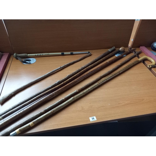 54 - A selection of walking canes