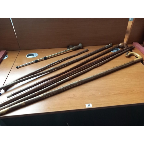 51 - A selection of walking canes