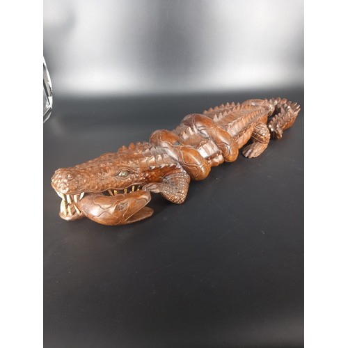 213 - Beautifully carved hardwood crocodile fighting a snake sculpture has age large 30 inches long