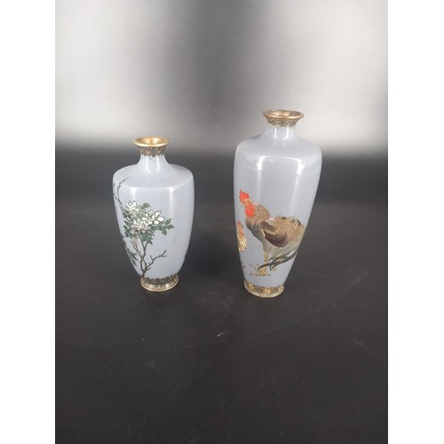 219 - Two early cloisonne vases - one with chicken decoration (18cm tall) and the other with floral and bu... 