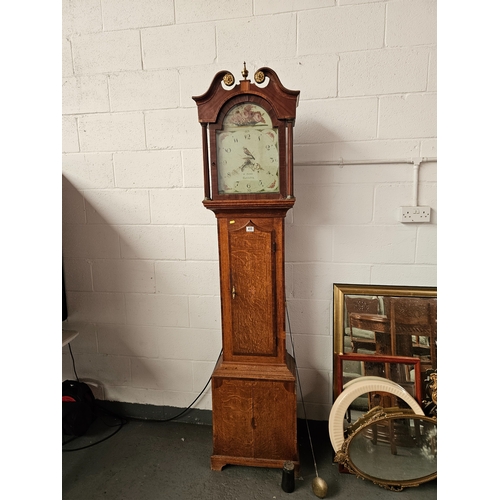 455 - An oak cased 30 hour grandfather clock