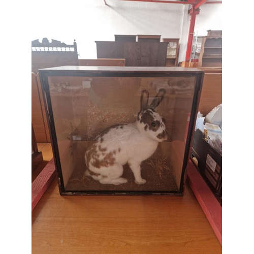 Lot 653       
