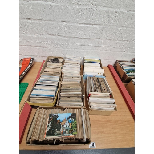 Lot 709       