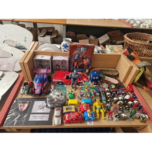 Lot 731       