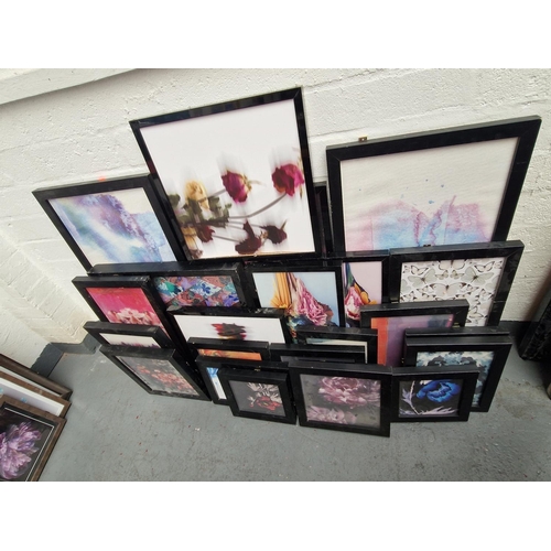 Lot 755       