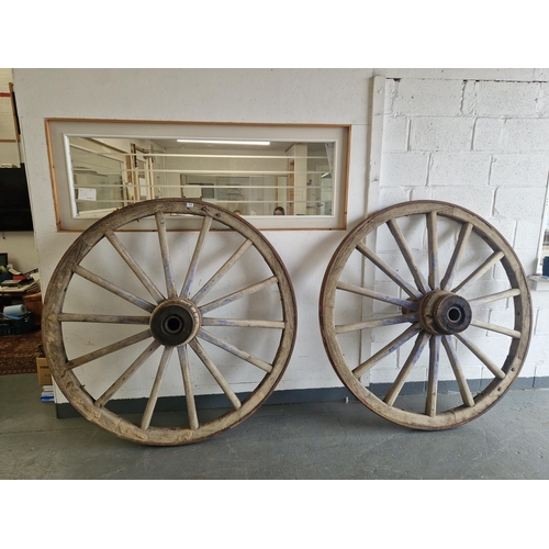 879 - A pair of very large antique steel rimmed cart wheels - diameter 60 inches - good condition