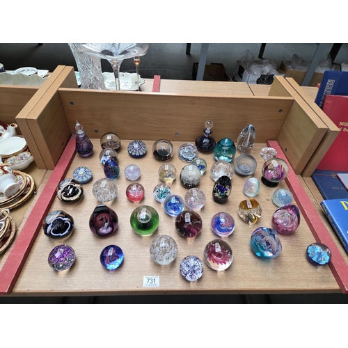 Lot 731       
