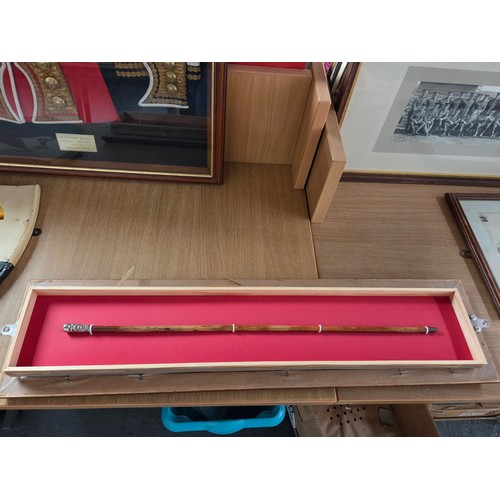 521 - A Royal Welsh Fusiliers framed Military swagger stick (frame opened for viewing), a hand painted 