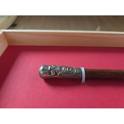 521 - A Royal Welsh Fusiliers framed Military swagger stick (frame opened for viewing), a hand painted 