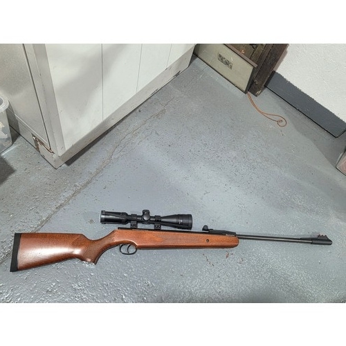 Lot 521       