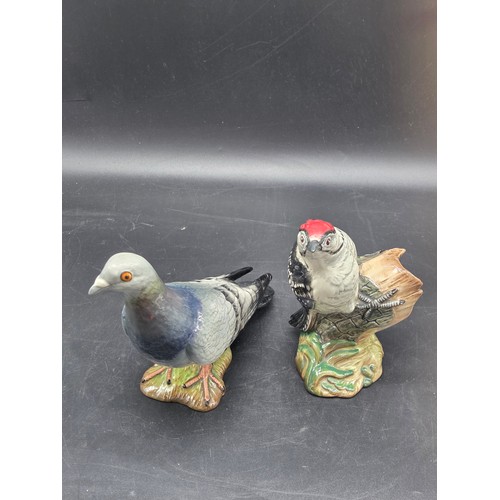 Lot 921       