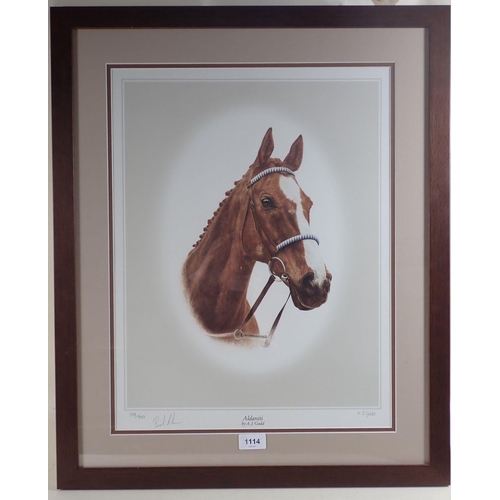 1114 - J Gadd - limited edition print of race horse Aldaniti (Grand National Winner) from Henrietta Knight,... 