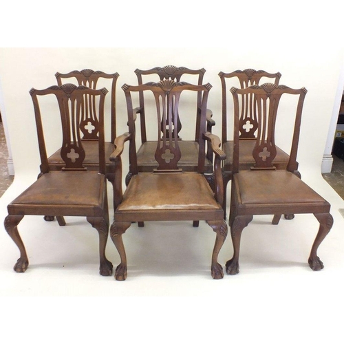 1154 - A set of six Chippendale style mahogany dining chairs on claw ball feet