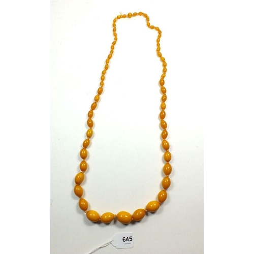 645 - A yellow amber bead necklace, 82gm, largest bead 2.5cm long