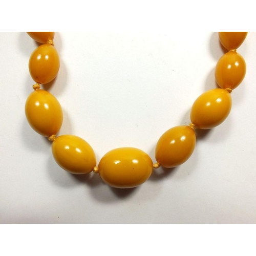 645 - A yellow amber bead necklace, 82gm, largest bead 2.5cm long