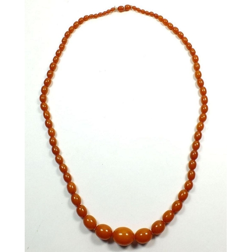 646 - A golden amber bead necklace, 47g