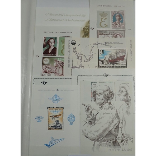 79 - A large stock-book of Belgium stamps and some of its colonies from 1861 on. This mint & used collect... 