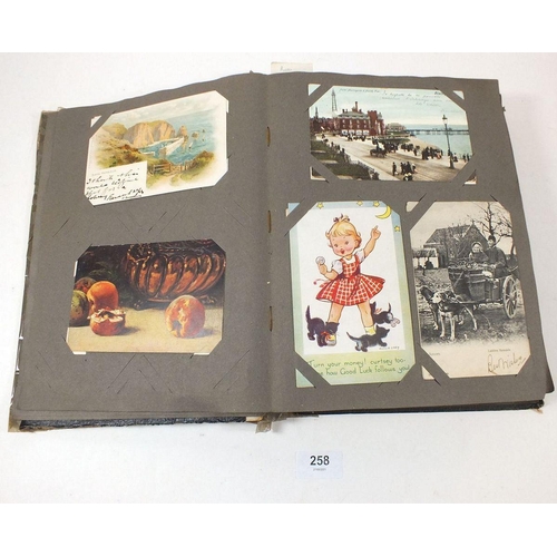 258 - Postcards - album including topographical with Thornton Village, comic including Kinsella (2) Tob B,... 