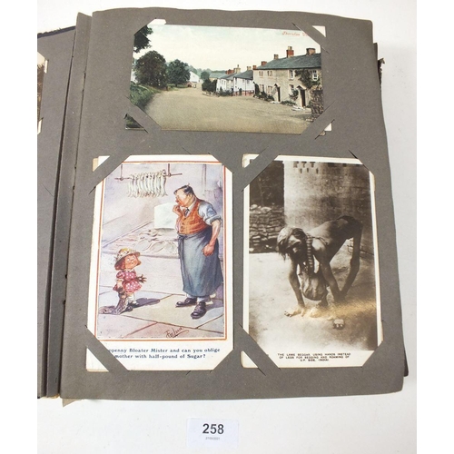 258 - Postcards - album including topographical with Thornton Village, comic including Kinsella (2) Tob B,... 