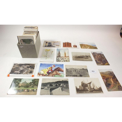 263 - Postcards: Miscellaneous which includes topography, military, ARQ, Queens dolls house, tucks etc ( A... 