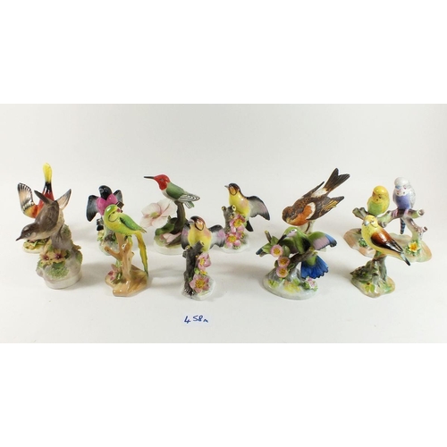 458a - A collection of bird ornaments including Doulton, Royal Adderley etc.