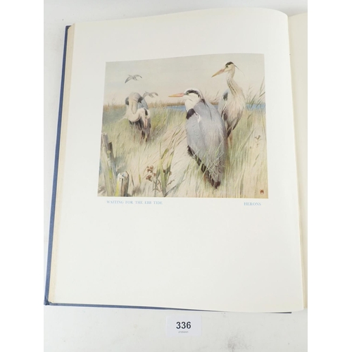 336 - Birds Ashore and Aforeshore by Patrick Chalmers, sixteen colour plates and line drawings by Winifred... 