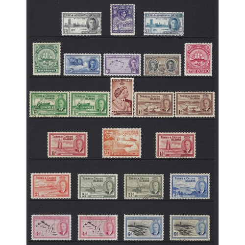 127 - Turks & Caicos: Small mint & used defin & commem collection on 4 pages in red folder, QV on. Various... 