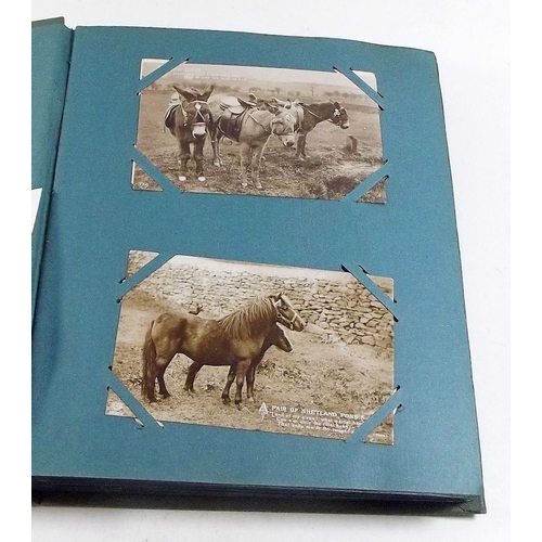 401 - Postcards: postcard album with ranges including shipping, children's, equine, cats and dogs, comic, ... 