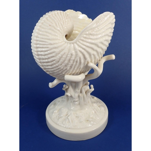 126 - A 19th century Belleek nautilus shell on coral base, 22cm tall