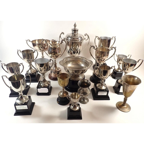 180 - A box of silver-plated challenge cups