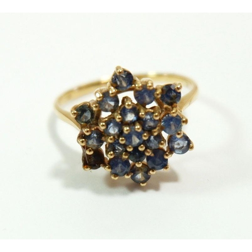 635 - A 15 carat gold cluster ring set blue stones, size O to P