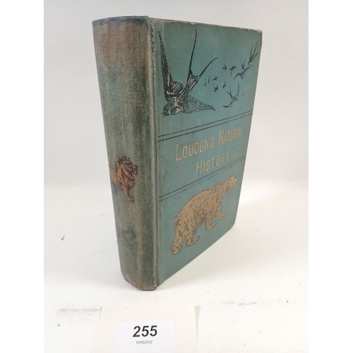 255 - Loudon's Natural History published by George Bell 1889