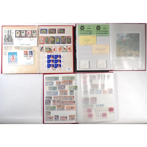 111 - Br Guiana/Guyana & Br Honduras/Belize: QV-QEII collection in 3 stock-books of mint/used defin, comme... 