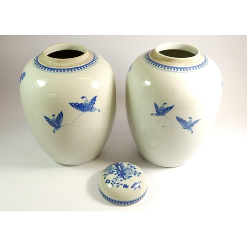 89 - A pair of Chinese blue and white ginger jars painted birds and tree peony - one lid only, 25cm tall