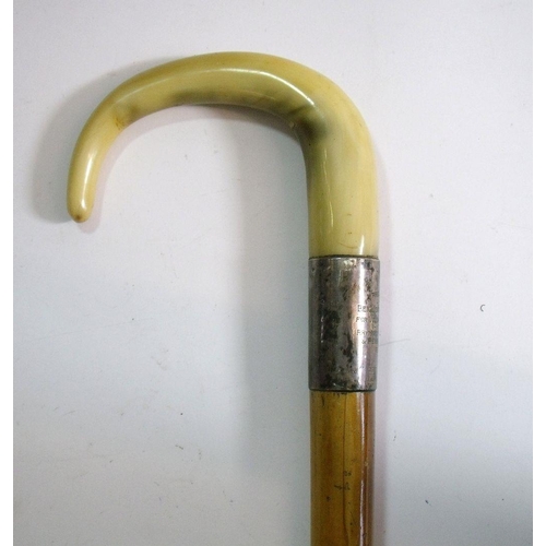 1051 - A horn handled walking stick with silver engraved collar for Services to the Welsh Rhymney War Relie... 