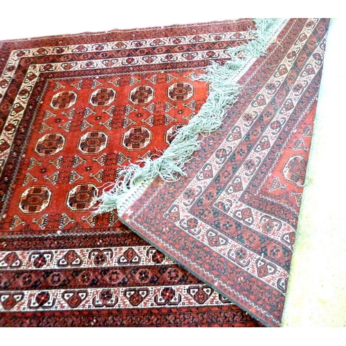 1127 - A Turkoman carpet with three rows of guls on a red ground within multiple borders, 289 x  213cm