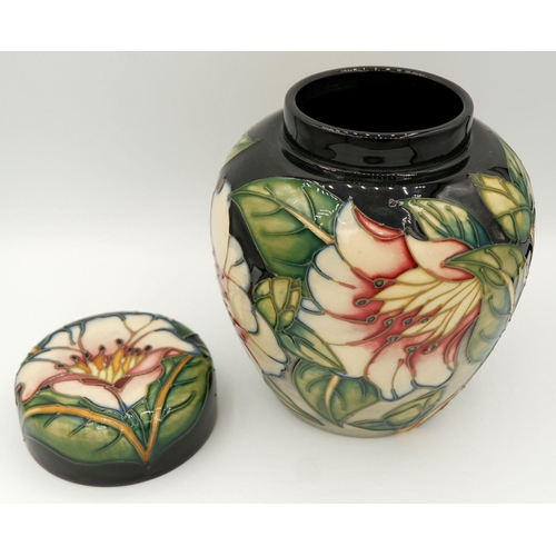 159 - A Moorcroft ginger jar and cover 'Chatsworth Rose' limited edition 49/300, 2001 by Philip Gibson, 15... 