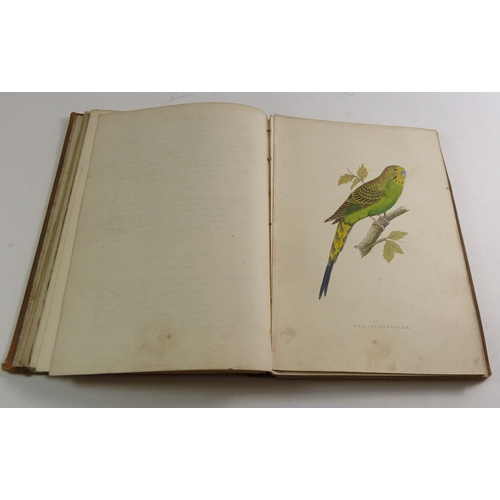 717 - W T Greene - 'Birds I have kept in Years Gone by' published by L Upcott Gill, 1885