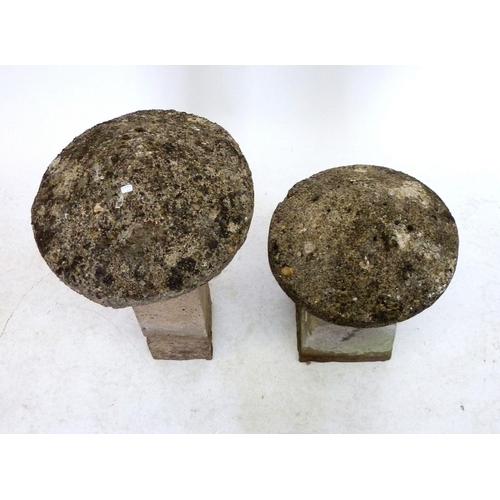 955 - Two small staddle stones, tallest 66cm