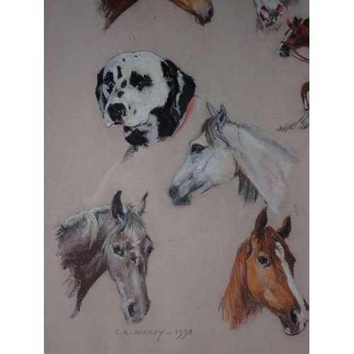 1163 - C.A Sharpley - pastel animal study 'The McKiddie Stable' 1998, 53 x 65cm