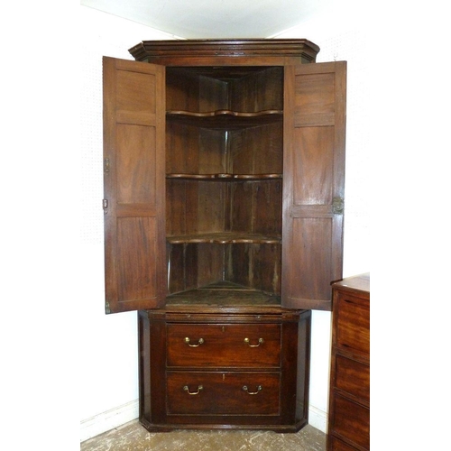 1262 - A Georgian large mahogany corner cupboard with panelled doors enclosing shelves over pull out slide ... 