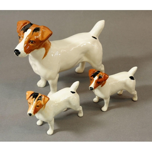 75 - A Beswick large Jack Russell and two smaller (one a/f)