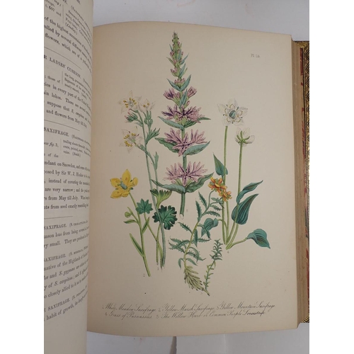764 - British Wild Flowers by Mrs Loudun, published by William Smith 1846, full leather binding