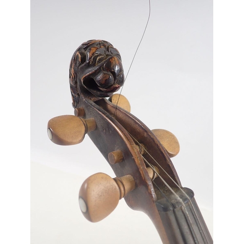 787 - An antique violin with lion head scroll and two bows, in case - no label, 14