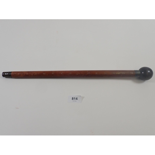 814 - A Victorian short measuring stick with ebony knob terminal and silver collar - thought to be for dog... 